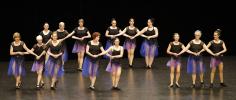 Gala de danse classique adultes 2026 
